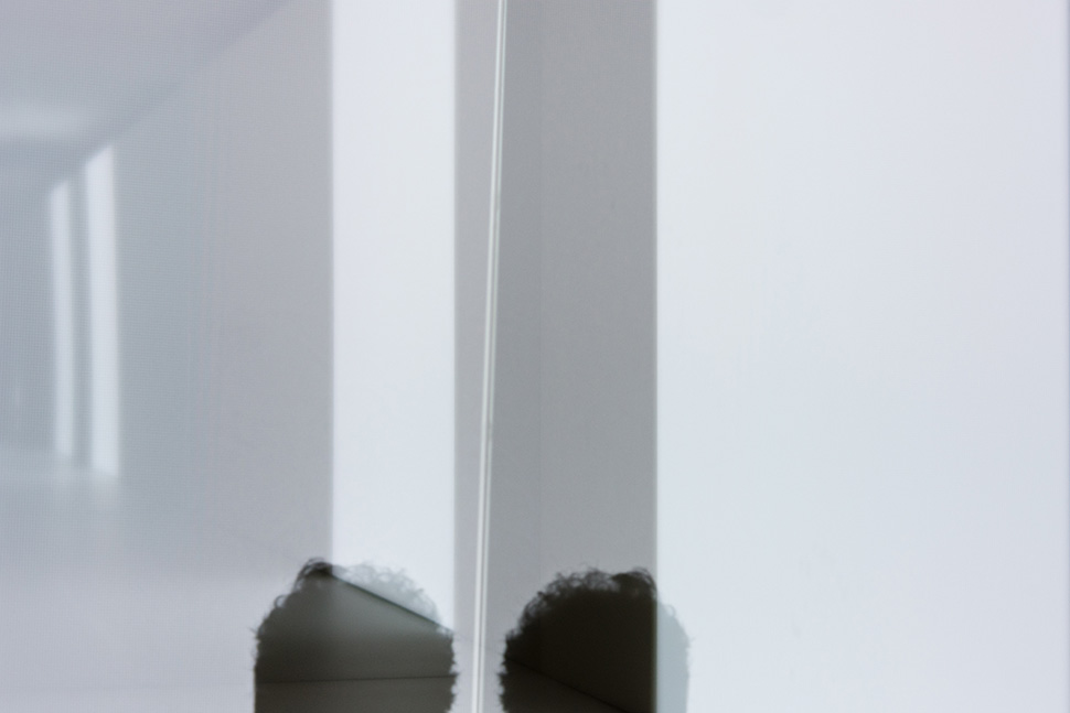 shadow play #5