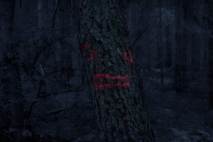 waldgeist#1
