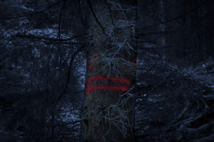 waldgeist#2