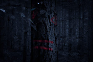 waldgeist#3