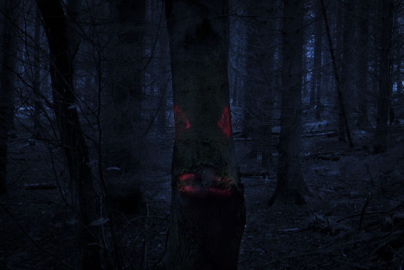 waldgeist#6