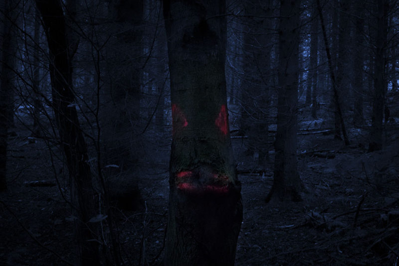 waldgeist#6
