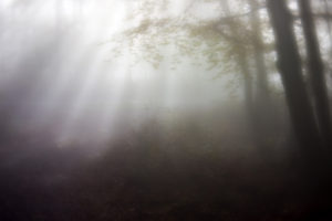 Mittelrheintal/Taunus