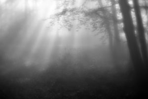 Mittelrheintal/Taunus