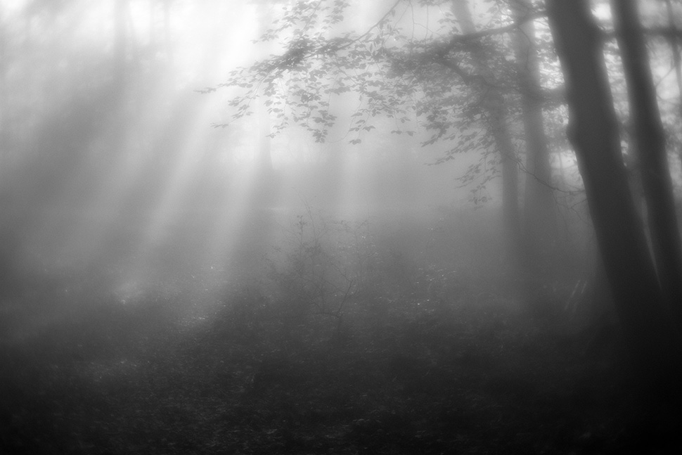 Mittelrheintal/Taunus