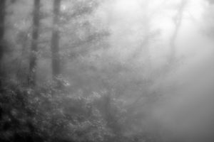 Mittelrheintal/Taunus