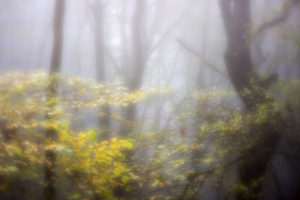 Mittelrheintal/Taunus