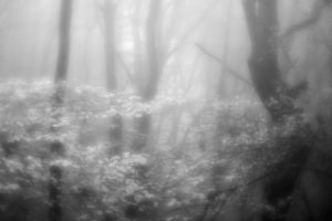 Mittelrheintal/Taunus