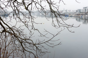 Wiesbaden Schiersteiner Hafen Boje