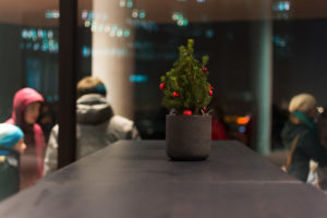 tischblume#25