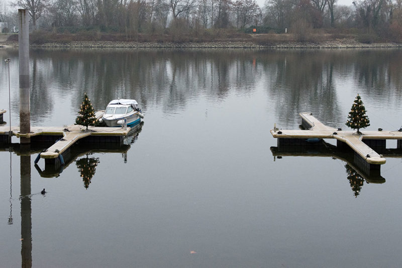 Wiesbaden Schiersteiner Hafen Weihnachtsbäume
