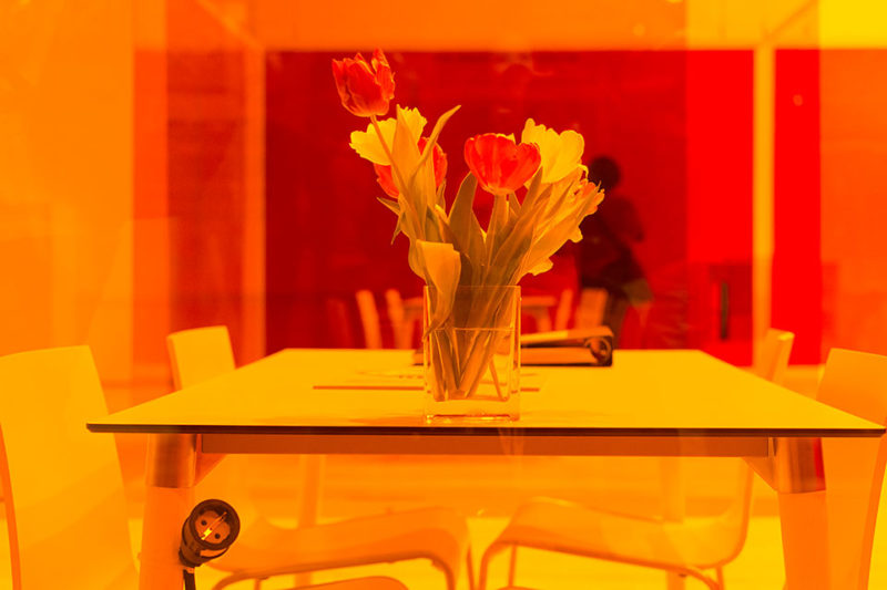 tischblume#31 Ispo_München