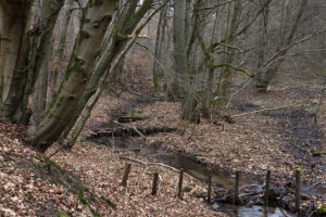 Wiesbaden Kesselbachtal