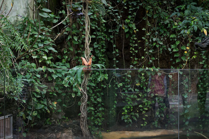 Exotarium Zoo Frankfurt/Main