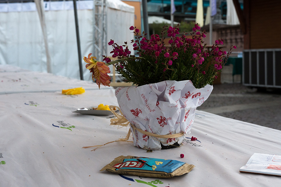 tischblume #39