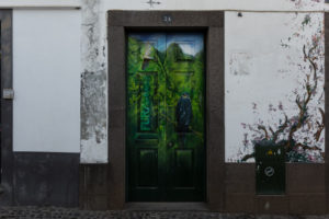 art of open door project in Rua de Santa Maria of Funchal #23