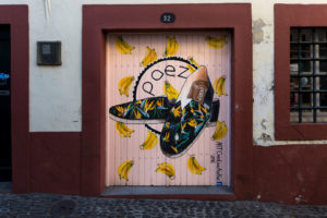 art of open door project in Rua de Santa Maria of Funchal #7