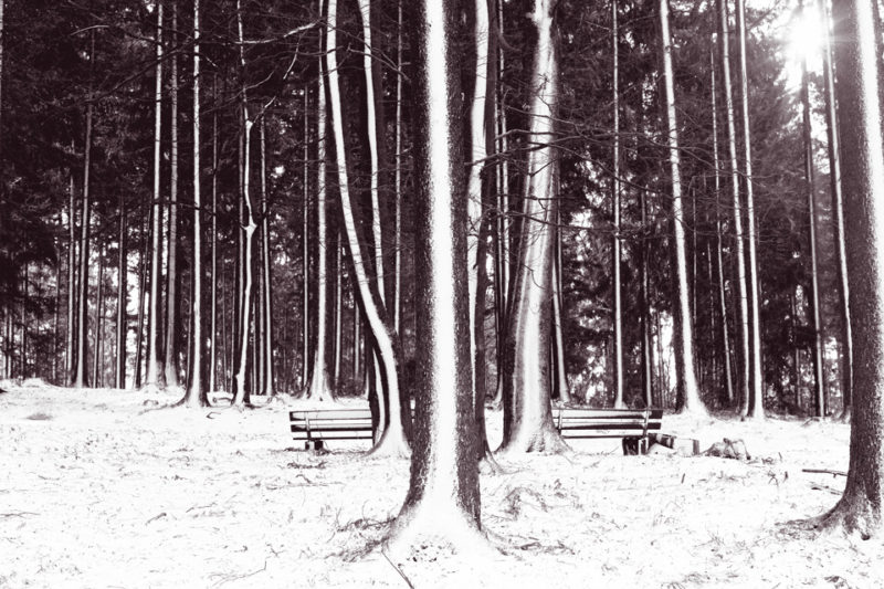 Platte_Trompeterstrasse04