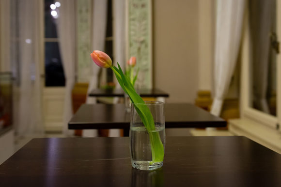 tischblume #46