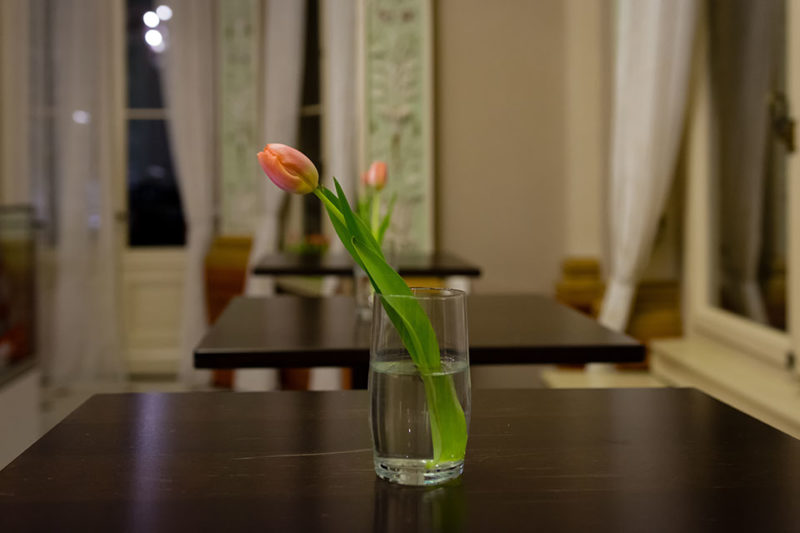 tischblume #46