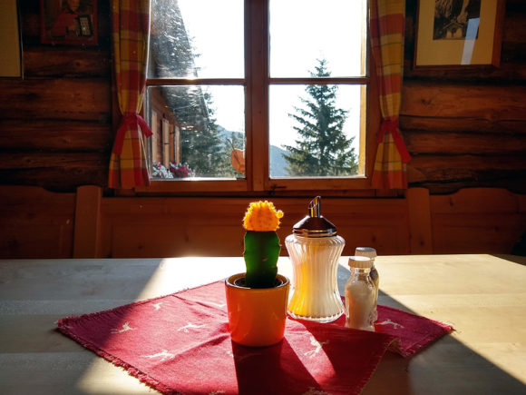 tischblume #53 good day sunshine