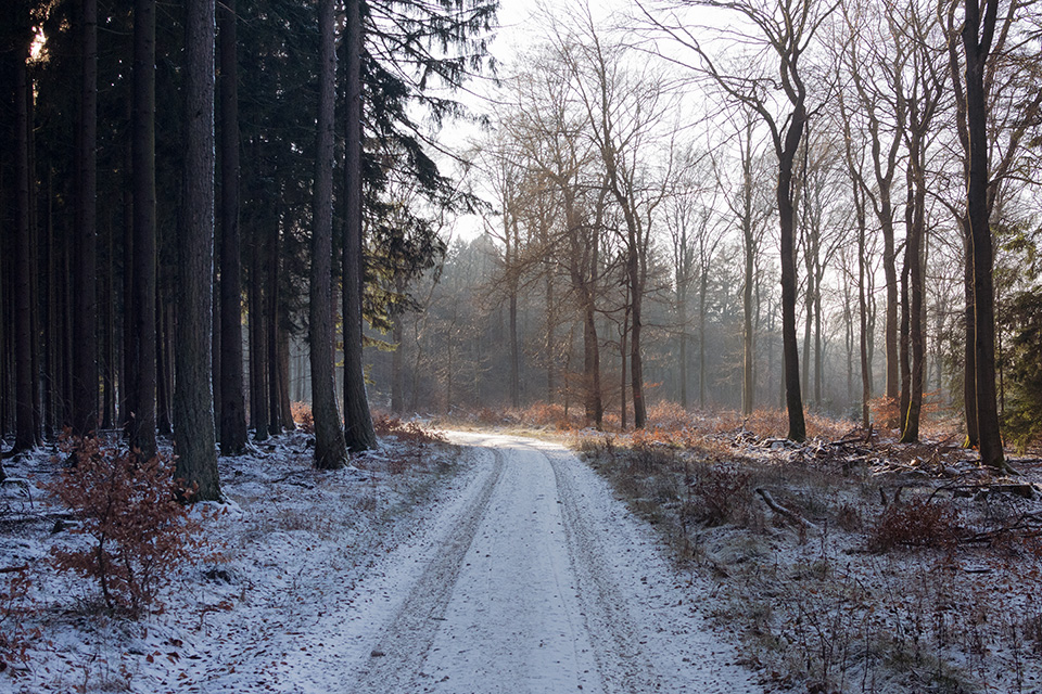 Rheinhöhenweg
