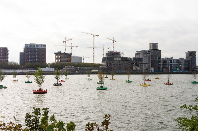bobbing forest, Rotterdam