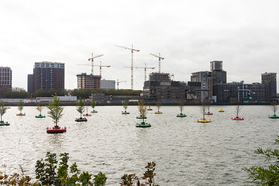 bobbing forest, Rotterdam