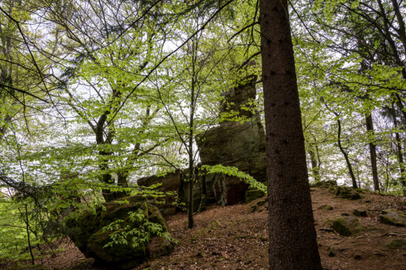 Spitzenstein, Taunusstein