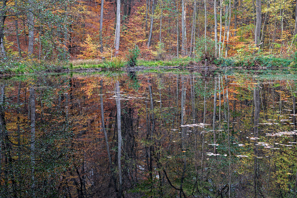Fischteiche im Kesselbachtal