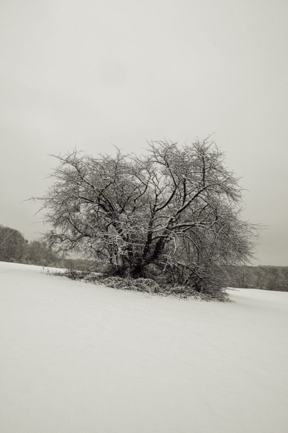 Rabengrund Glade