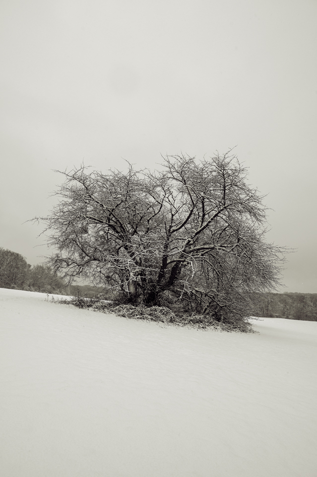 Rabengrund Glade