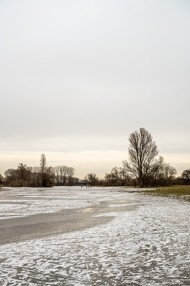 Hochheimer Hundewiese
