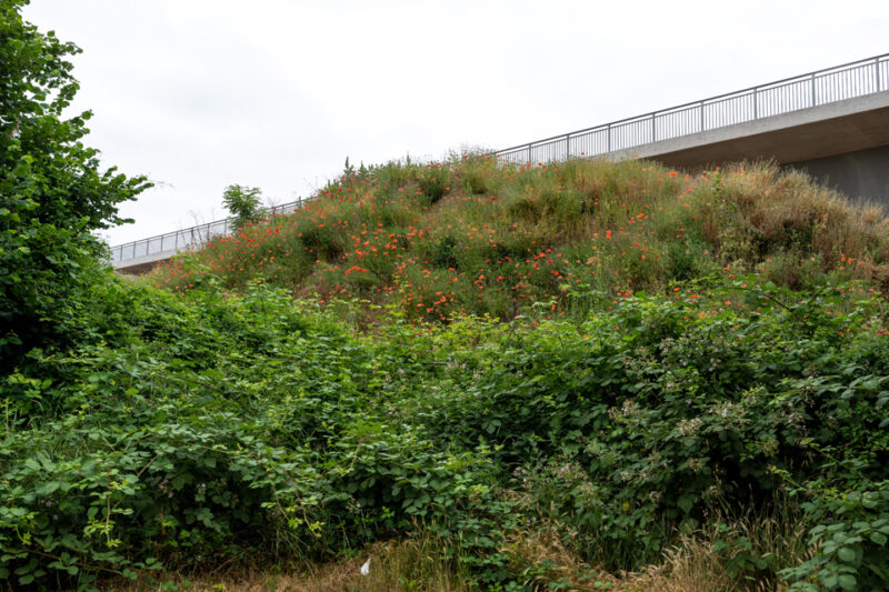 urban hiking #2