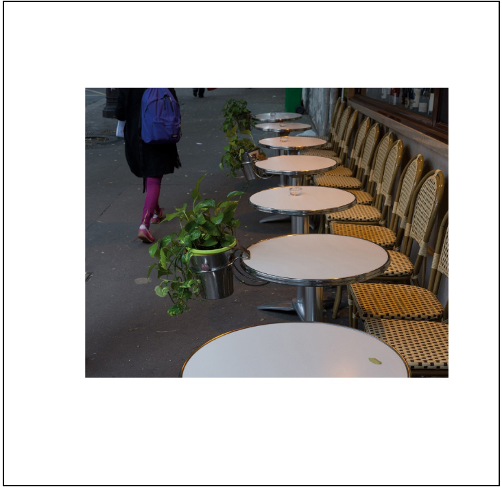 Tischblumen das Buch