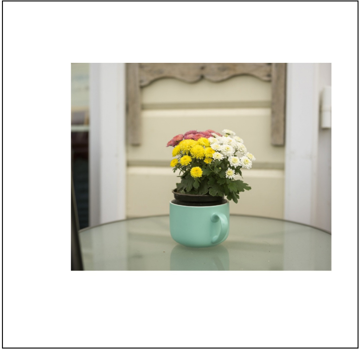 Tischblumen das Buch out now!